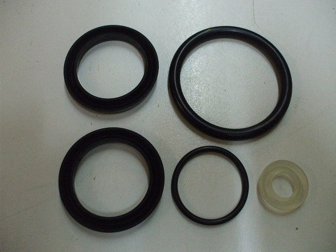 Kit  5 gaskets La Pavoni Europiccola PreMillenium
